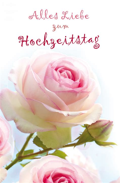 Hochzeitstag gratulieren auch oft die eltern als ehepartner sollte man sprüche zum hochzeitstag romantisch und liebevoll formulieren. Hochzeit Grußkarten - LUMA Kartenedition - Schöne ...