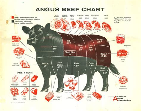 Beef Cuts Of Meat Butcher Chart Cattle Diagram Poster X Art Collectibles Art