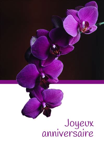 Les cartes virtuelles rapprochent les époux, les fratries, les. Carte Joyeux Anniversaire Mauve Et Vert : Envoyer une Carte Anniversaire Fleurs dès 0,99 ...
