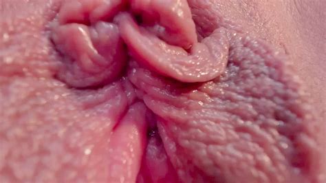 Close Up Clit With Extremely Detail Hd Pornography 74