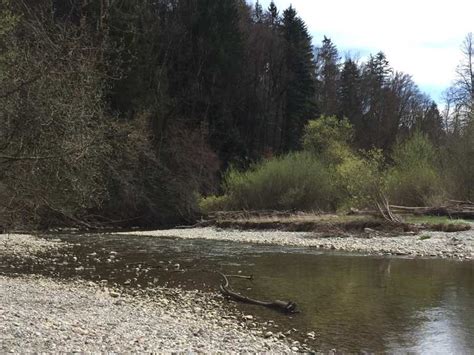 Los geht´s für kinder zwischen 8 und 11 jahren am mittwoch, 6. Argenzusammenfluss - Wangen im Allgäu, Ravensburg ...
