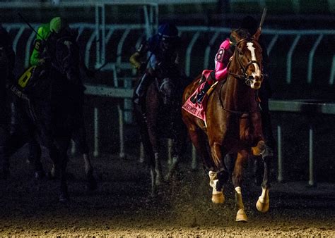 Brian Nadeaus Road To The Triple Crown 2019 The Kentucky Derby