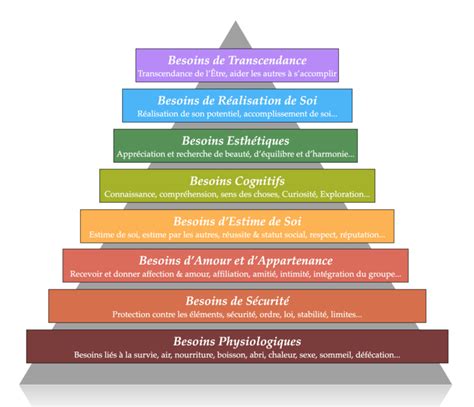 La Pyramide De Maslow Les Niveaux Et Besoins Psychologiques