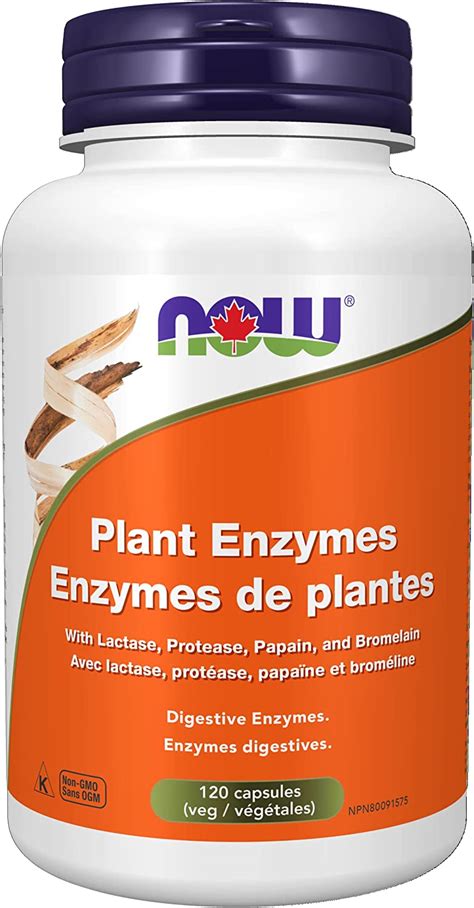 Now Plant Enzymes Capsules 120 Count Amazonca Health And Personal Care