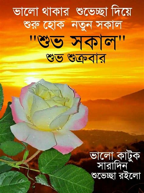 Pin By Monoranjansardar On শুভ সকাল Good Morning Flowers Good