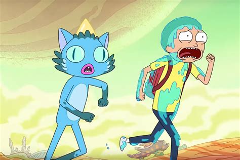 Why Can The Cat Talk In Rick And Morty