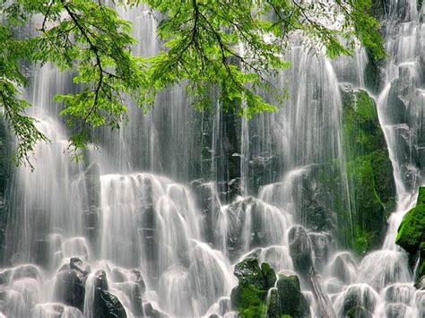 Waterfall Stream Fall Falling Bonito Mountain Leaves Cascades
