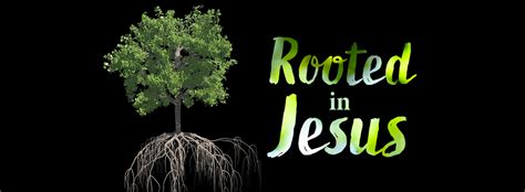 Rooted In Jesus Series