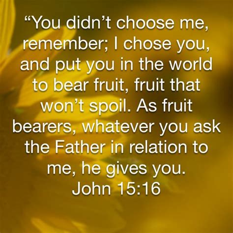 John 1516 “you Didnt Choose Me Remember I Chose You And Put You In