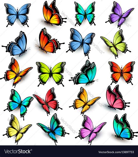Free Colorful Butterfly Svg Free 344 Svg Png Eps Dxf File