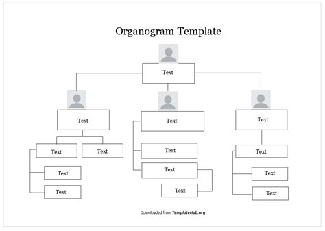 35 Free Organogram Templates Ms Word Excel And Powerpoint