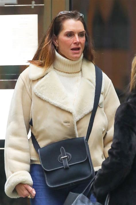 Brooke Shields Out And About In New York 01172019 Hawtcelebs