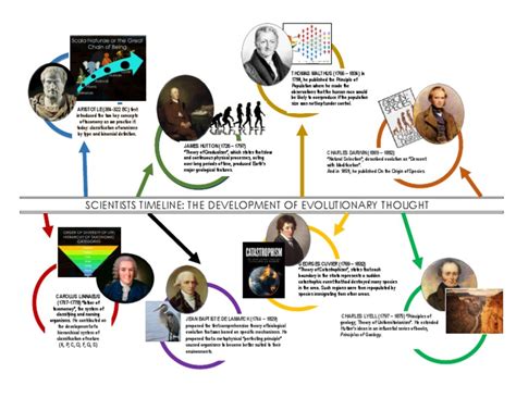 Scientists Timeline The Development Of Evolutionary Thought Taxonomy