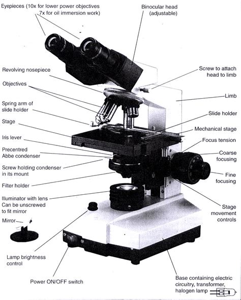 Labeled Microscope Diagram Photos Cantik