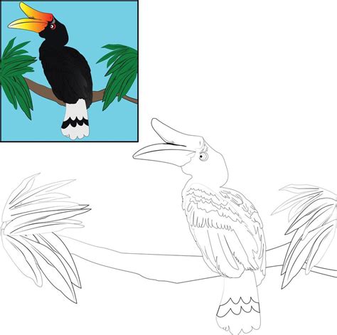 Hornbill Bird Also Known As Rangkong Vector Sketch Coloring Page Kids