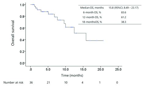 Kaplan Meier Survival Curve Of Overall Survival Os The Median