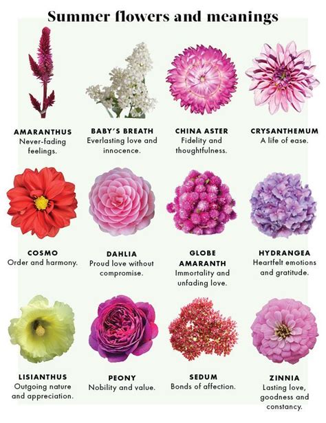 The Meaning Of Flowers By Urban Botanicals Flower Meanings Pretty