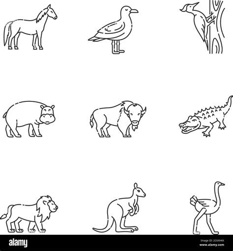 Share 120 Land Animals Drawing Latest Vn