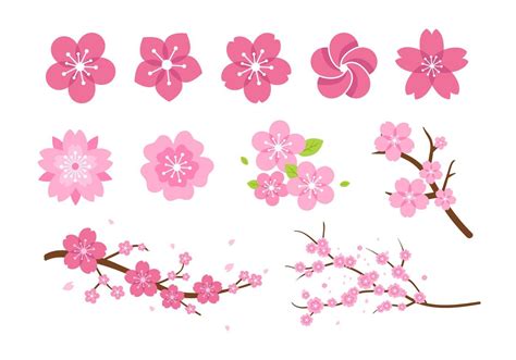 Pink Flower Blossom Vectors Cherry Blossom Vector Flower Doodles