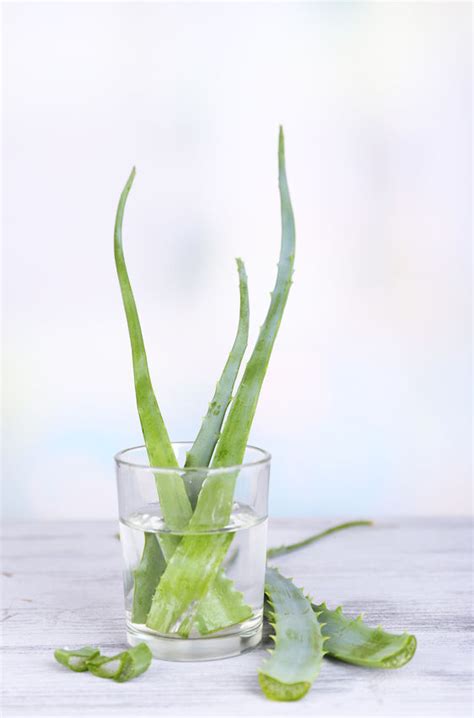 Here are some best home remedies that help you to get relief from the scabs in the nose. How To Get Rid of Acne Scabs (when you've popped a pimple...)