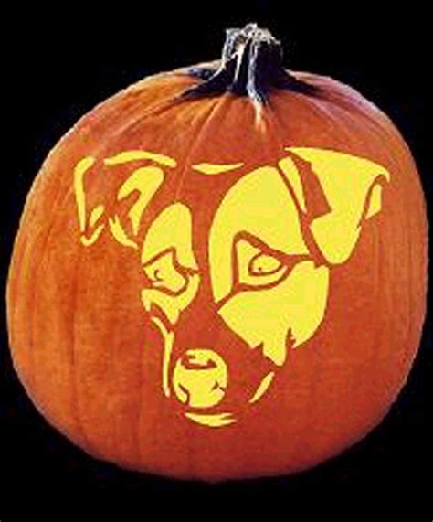 Terriermans Daily Dose Jack Russell Jack Olantern