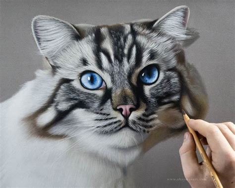 Creating Realistic Portraits Artwork Of Pets On Trendy Art Ideas