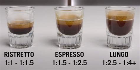 Easy Espresso Shot Sizes A Guide To Making The Best Homemade Shots
