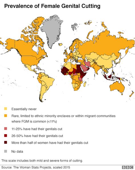 What Is Fgm Where Does It Happen And Why Bbc News