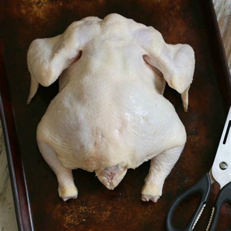 Open it like a book. Roasted Lemon Spatchcocked Chicken {How to Butterfly a ...