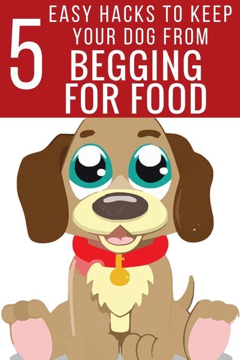You can convince your dog to stand down at meal times, or better yet, prevent the behavior from even starting. 5 Effective Tips on How to Stop Your Dog Begging for Food ...