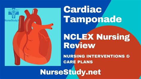 Cardiac Tamponade Nursing Care Plan And Management Rnpedia Porn Sex