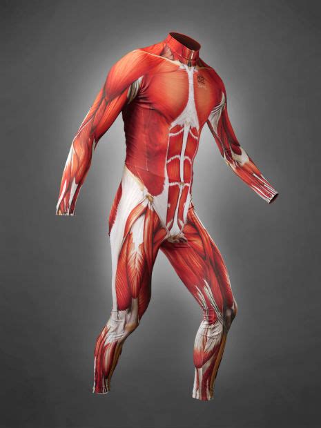 Muscle Skin Suit For Cycling Or If You Want To Look Like Slim Goodbody