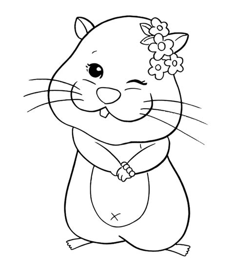 Hamster Engra Ado Para Colorir Imprimir E Desenhar Colorir Me