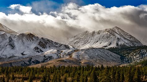 Free Images Landscape Tree Nature Forest Wilderness Snow Winter