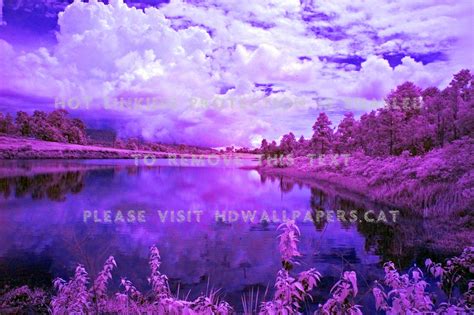Purple Nature Reflection Lake Hd Wallpaper 1640747