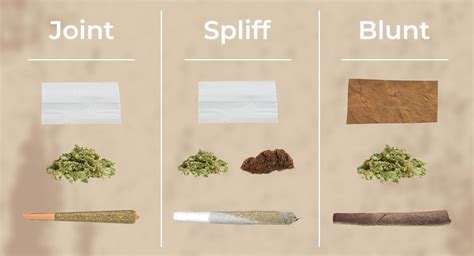 Joint Vs Blunt Vs Spliff All Differences Explained Fast Buds