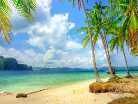 Tropical Coast Beach Coast Sea Blue Palm Trees Clouds 2560x1600