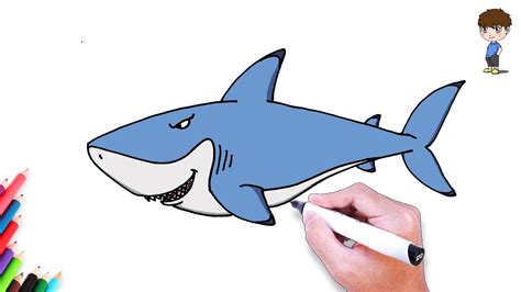 Comment Dessiner Un Requin Facilement Dessin Facile A Faire Dessin