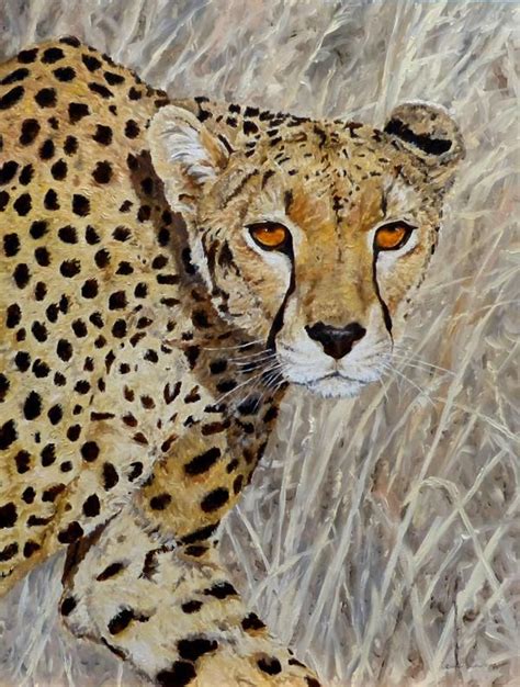 Jackson, and directed by nature film maker alaster fothergill (blue planet 2001) about two different cat families living on the savannah of africa, initially released on earth day 2011 the film was one of the highest grossing documentary. Three Original Oil Paintings Titled 'African Big Cat Trio ...