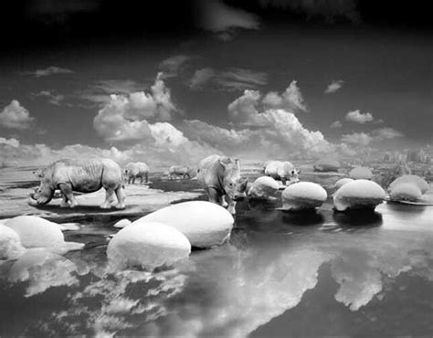 Thomas Barbey Rhinal Congestion Surrealism Photography Fine Art