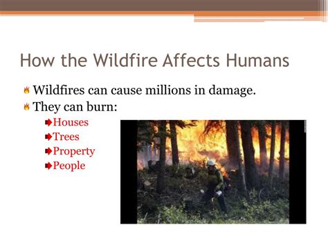 Ppt Wildfire Powerpoint Presentation Free Download Id2620107