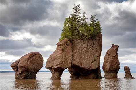 The Top Things To See And Do In New Brunswick Mapquest Travel