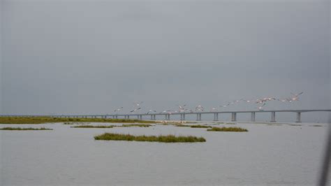 Mouchão Da Póvoa Island Tagus Marina