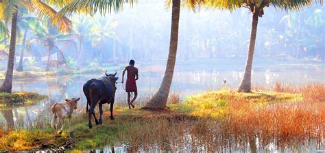 This city got its name from a fusion of two malayalam words, pala — the name given for a land… Best Village walk in Kerala - Experience Kerala