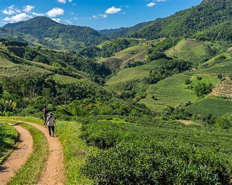 The Best Chiang Rai Mountains To Visit Updated 2024 Tripadvisor