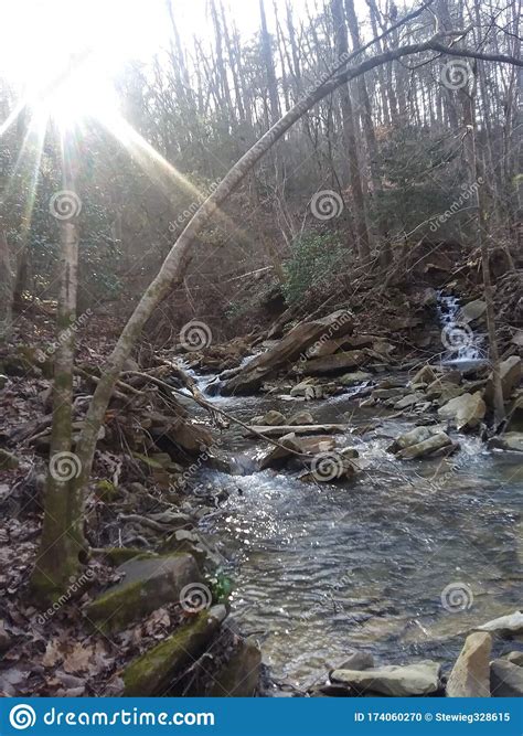 Happy Suns Make For Happy Trails Stock Photo - Image of find, make 