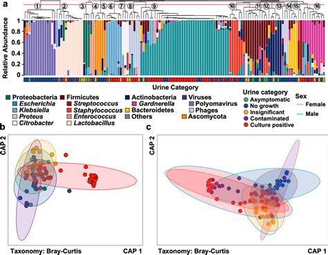 Microbiota Composition Varies Between Categories Of Diagnostic