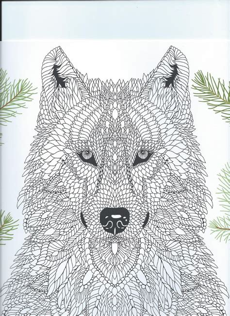 From The Coloring Book The Menagerie Animal Portraits To Color Dog