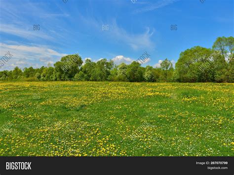 Green Meadow Image And Photo Free Trial Bigstock