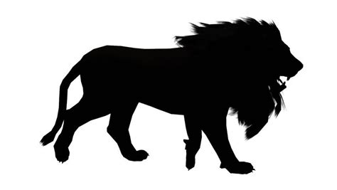 Lion Roar Silhouette At Getdrawings Free Download